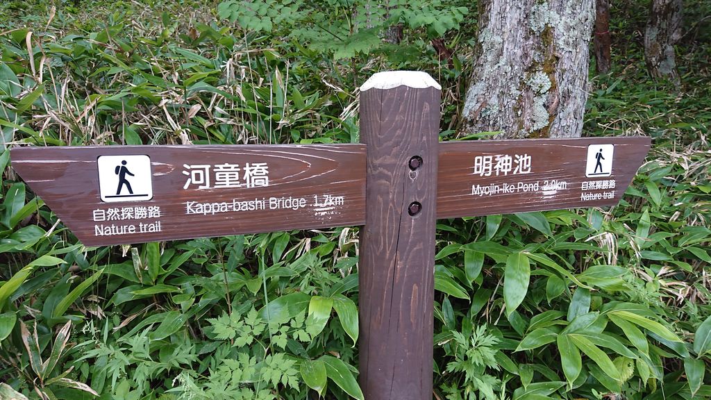 f:id:totsuspo:20190930225013j:plain