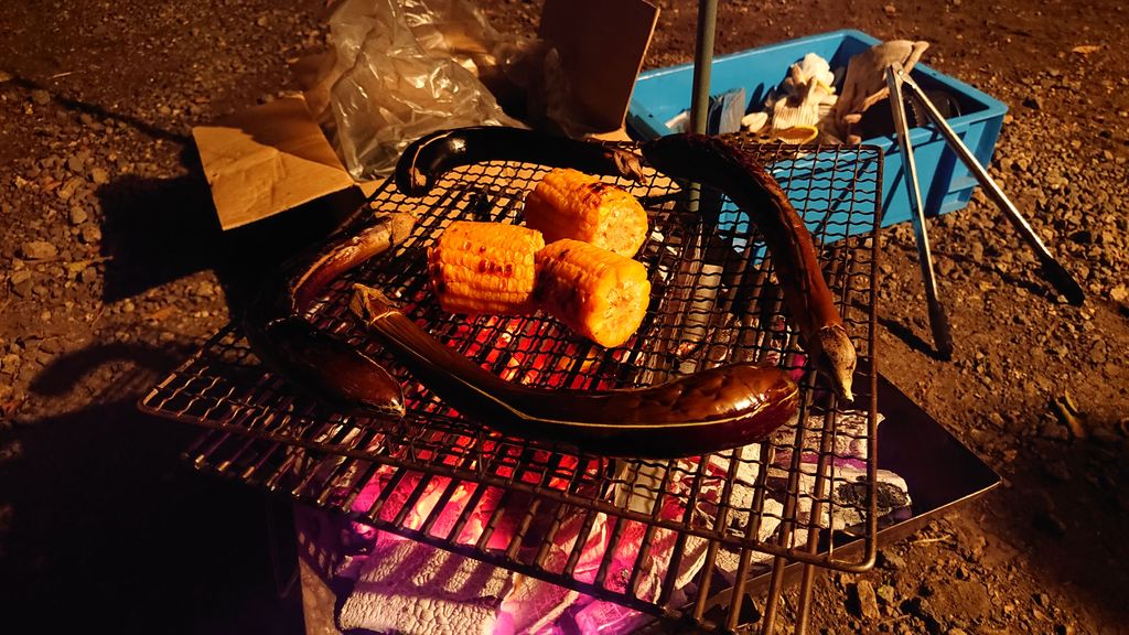 f:id:totsuspo:20191102095346j:plain