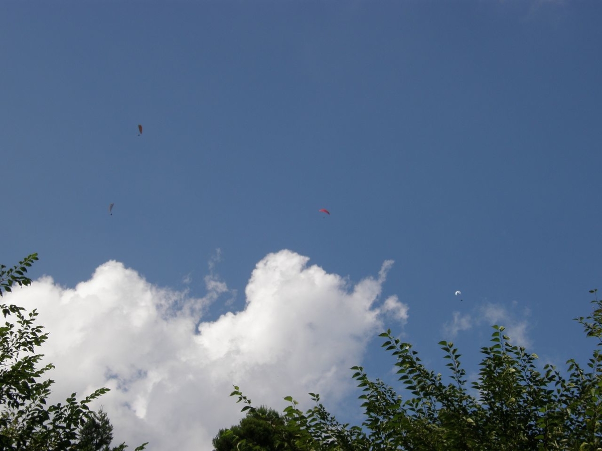 f:id:totsuspo:20191219220528j:plain