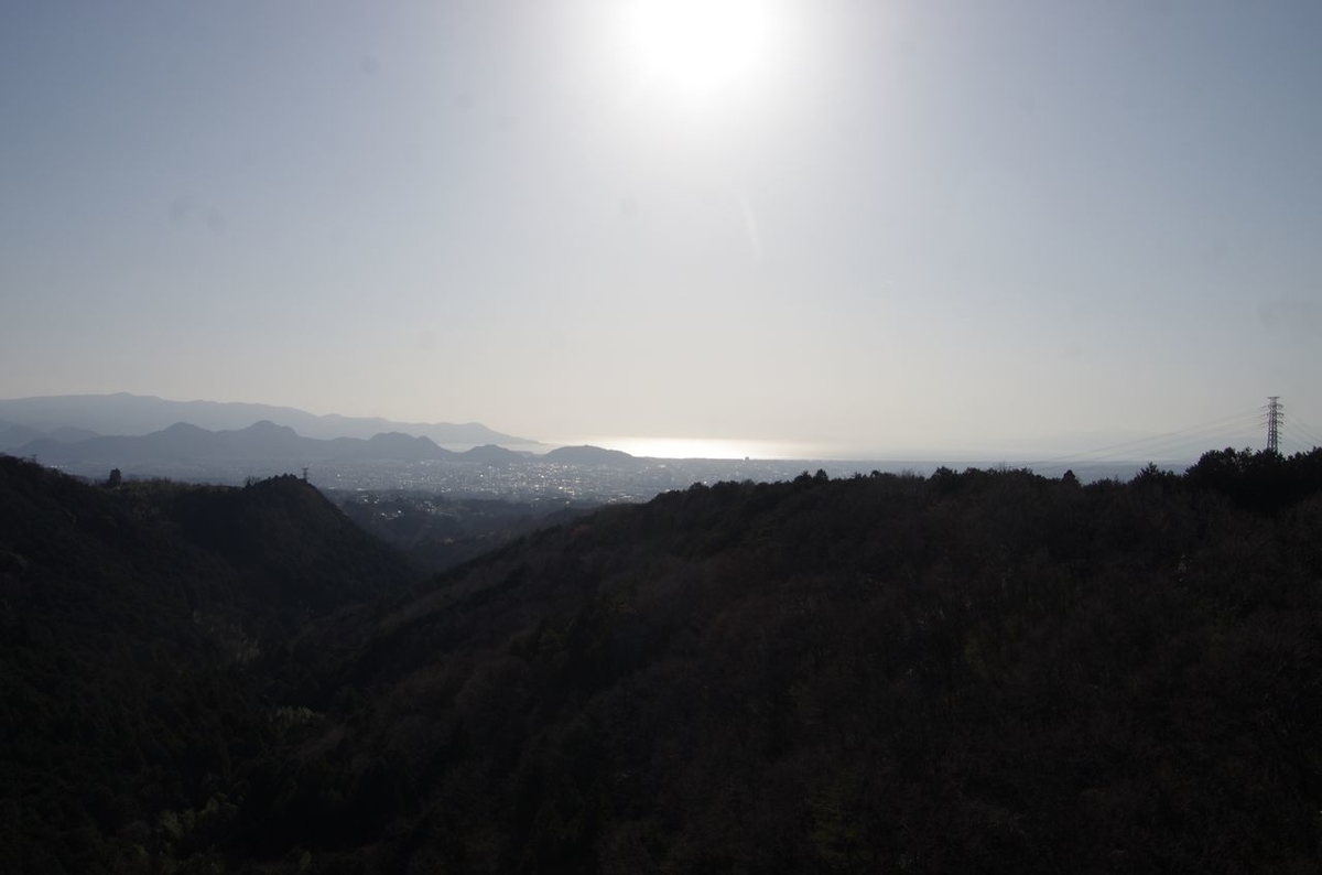 f:id:totsuspo:20200324193806j:plain f:id:totsuspo:20200324193806j:plain