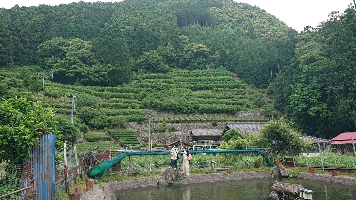f:id:totsuspo:20200606124157j:plain f:id:totsuspo:20200606124157j:plain