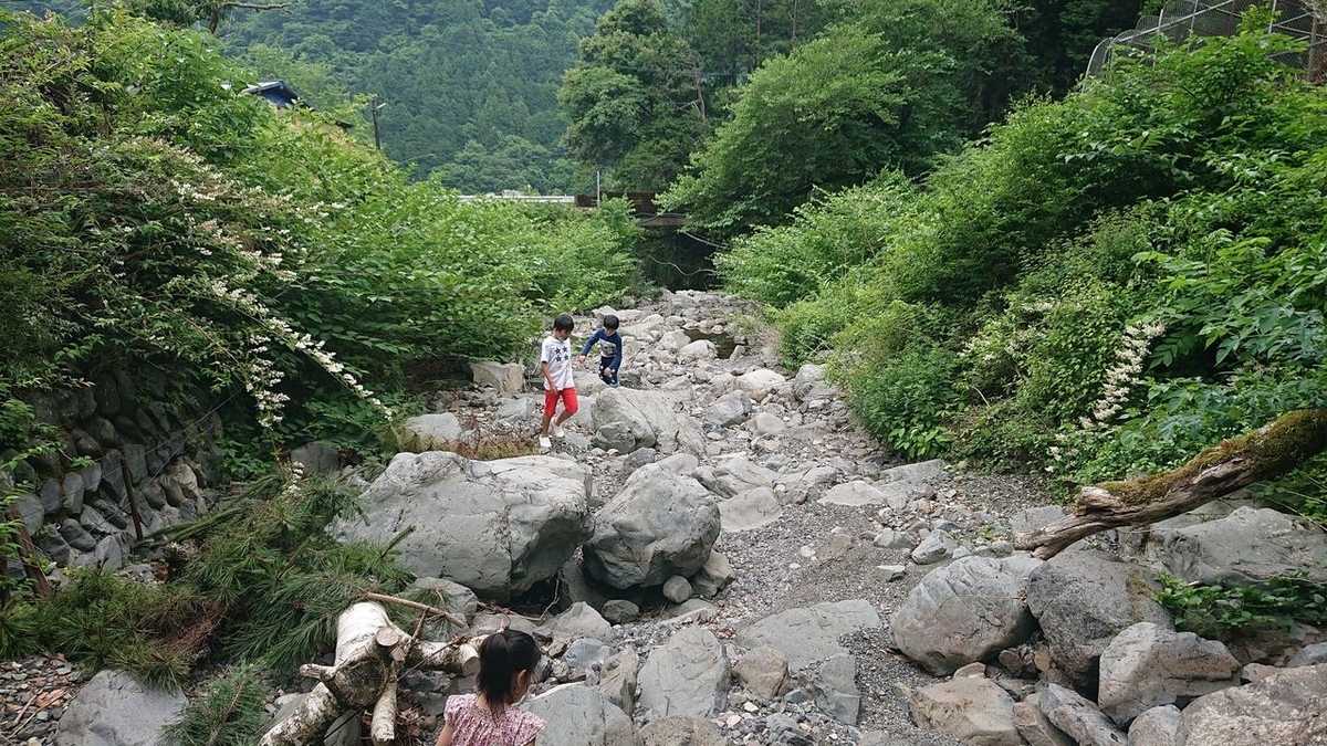 f:id:totsuspo:20200606140541j:plain