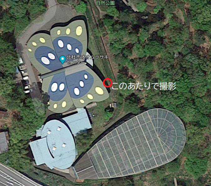 f:id:totsuspo:20200816230746p:plain
