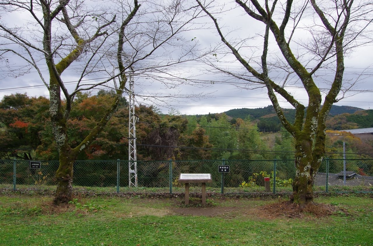 f:id:totsuspo:20201122123500j:plain