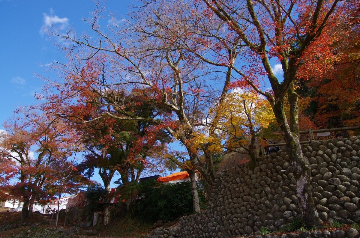 f:id:totsuspo:20201123114252j:plain