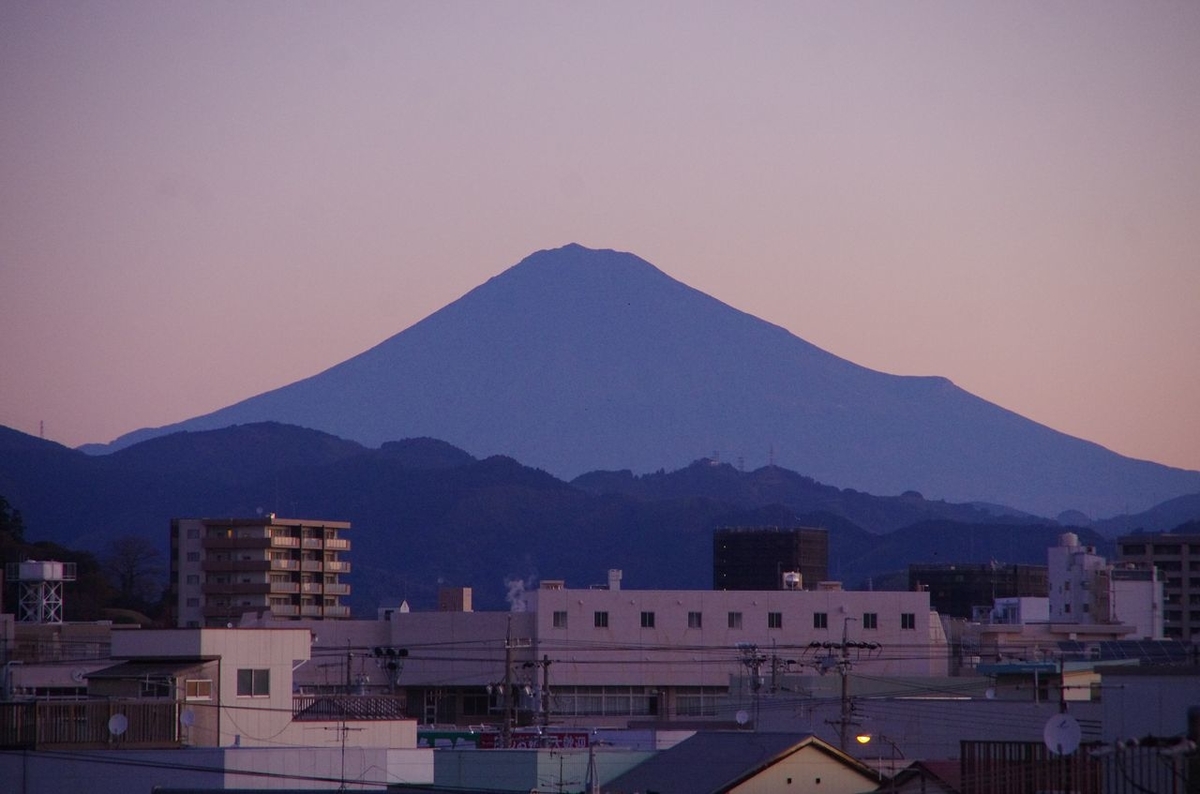 f:id:totsuspo:20201223064114j:plain