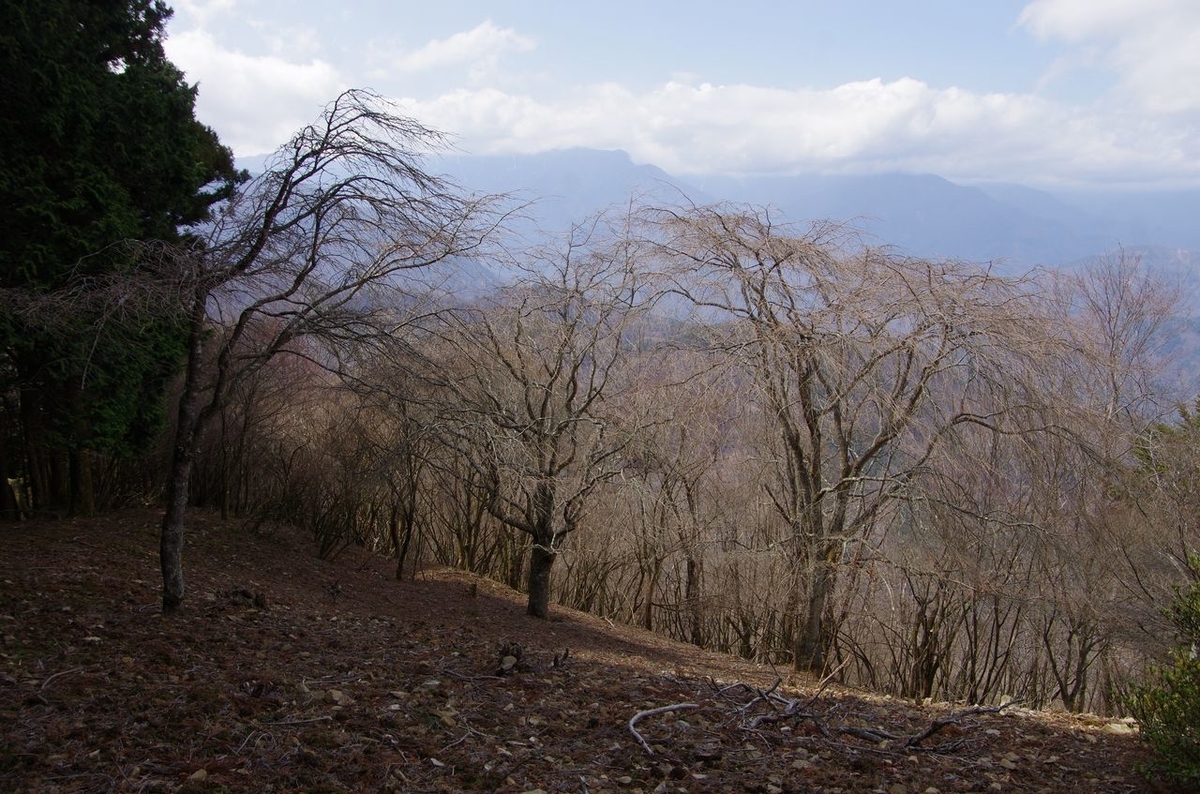f:id:totsuspo:20210320131105j:plain
