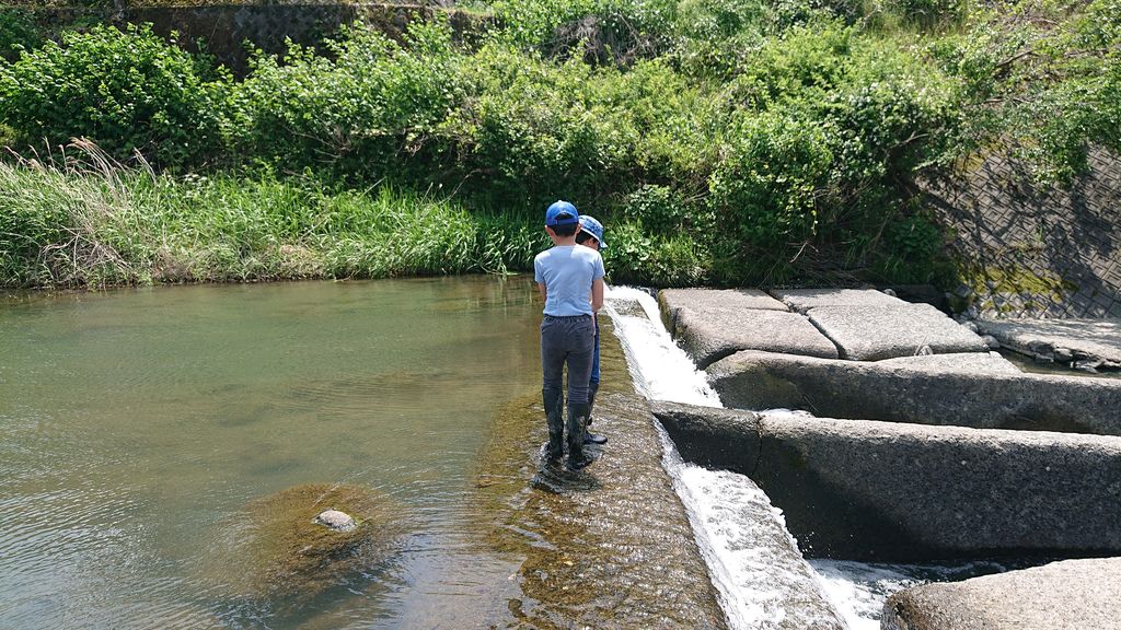 f:id:totsuspo:20210509114449j:plain