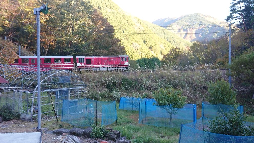 f:id:totsuspo:20211114153515j:plain