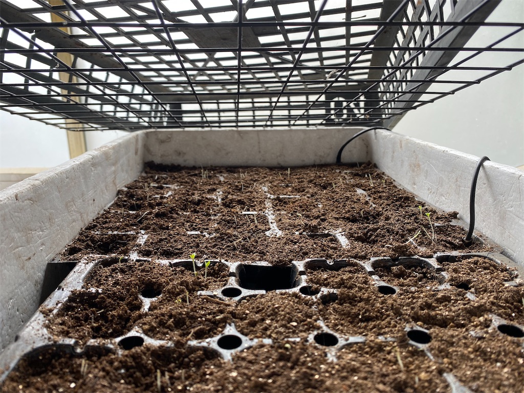 f:id:tottarou:20210317215105j:image