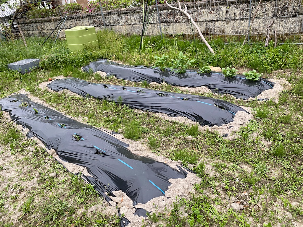 f:id:tottarou:20220424131738j:image f:id:tottarou:20220424131738j:image