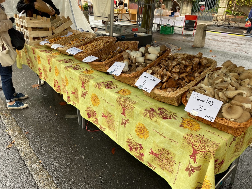 f:id:tottokug:20191020144417j:image