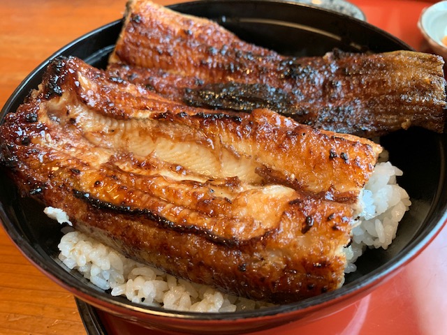 f:id:tottopappa:20190614075835j:plain