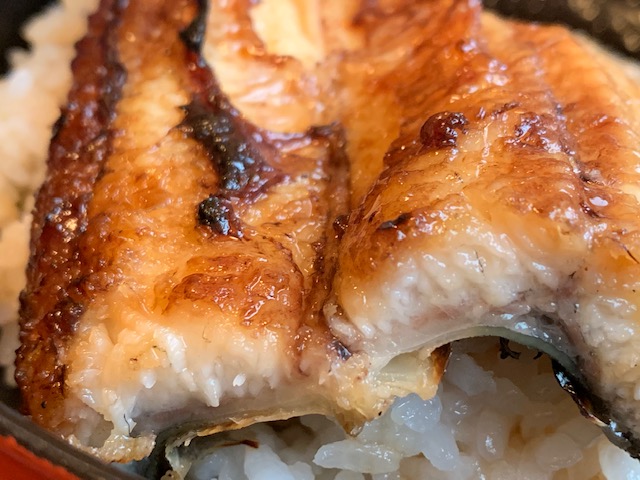 f:id:tottopappa:20190614075837j:plain