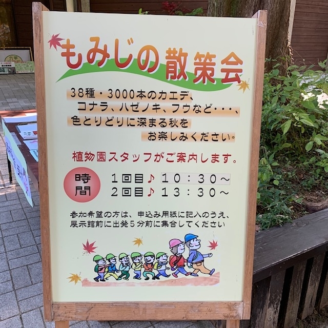 f:id:tottopappa:20191119173321j:plain