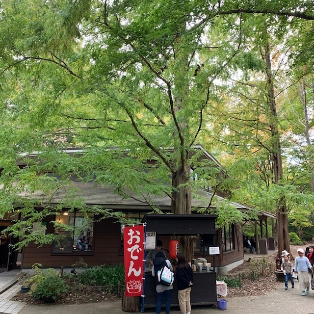 f:id:tottopappa:20191119173730j:plain