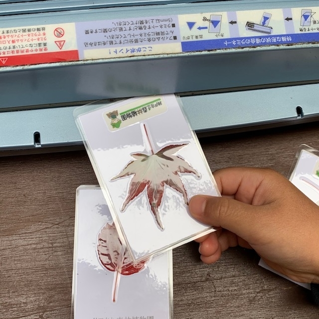 f:id:tottopappa:20191119174431j:plain