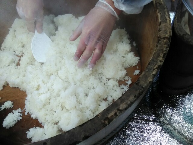 f:id:tottoridekurasu:20170110114640j:image f:id:tottoridekurasu:20170110114640j:image