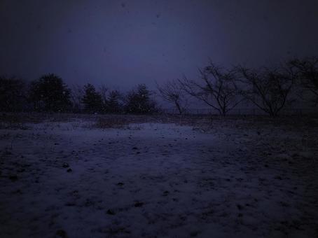 薄暗い雪原