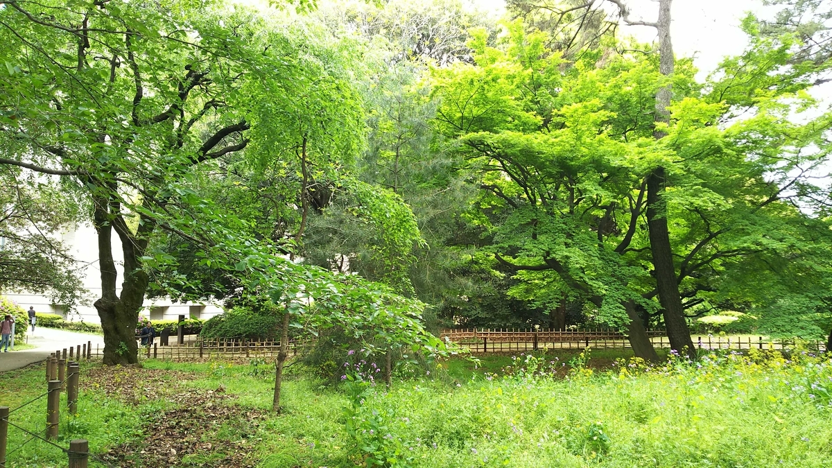 f:id:touch-and-go:20190507153559j:plain f:id:touch-and-go:20190507153559j:plain