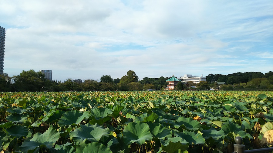 f:id:touch-and-go:20190930095843j:plain