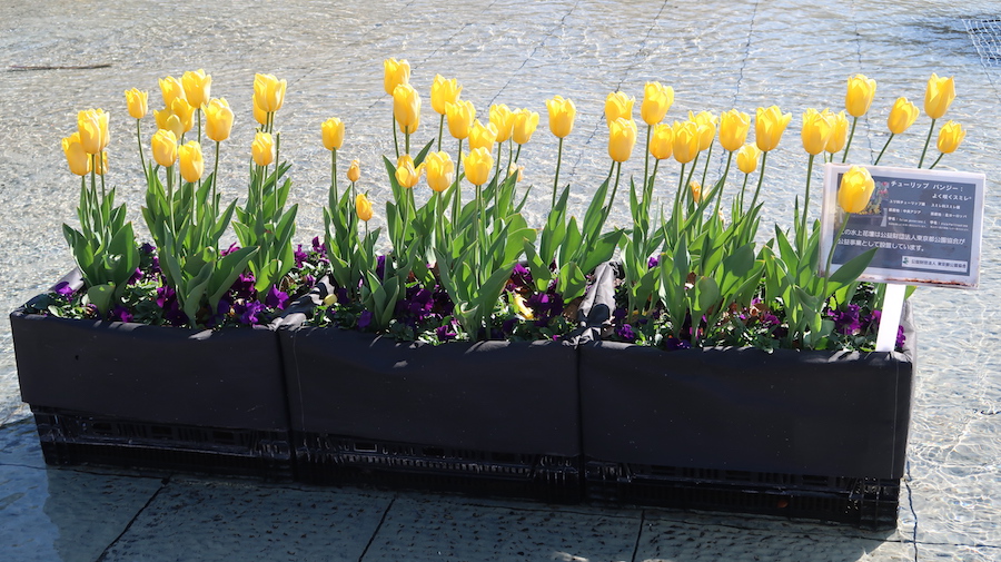 f:id:touch-and-go:20200210095654j:plain