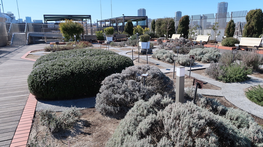 f:id:touch-and-go:20200210095711j:plain