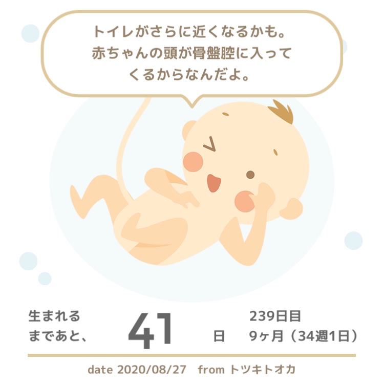 f:id:touchan-nikki:20200913112610j:plain f:id:touchan-nikki:20200913112610j:plain