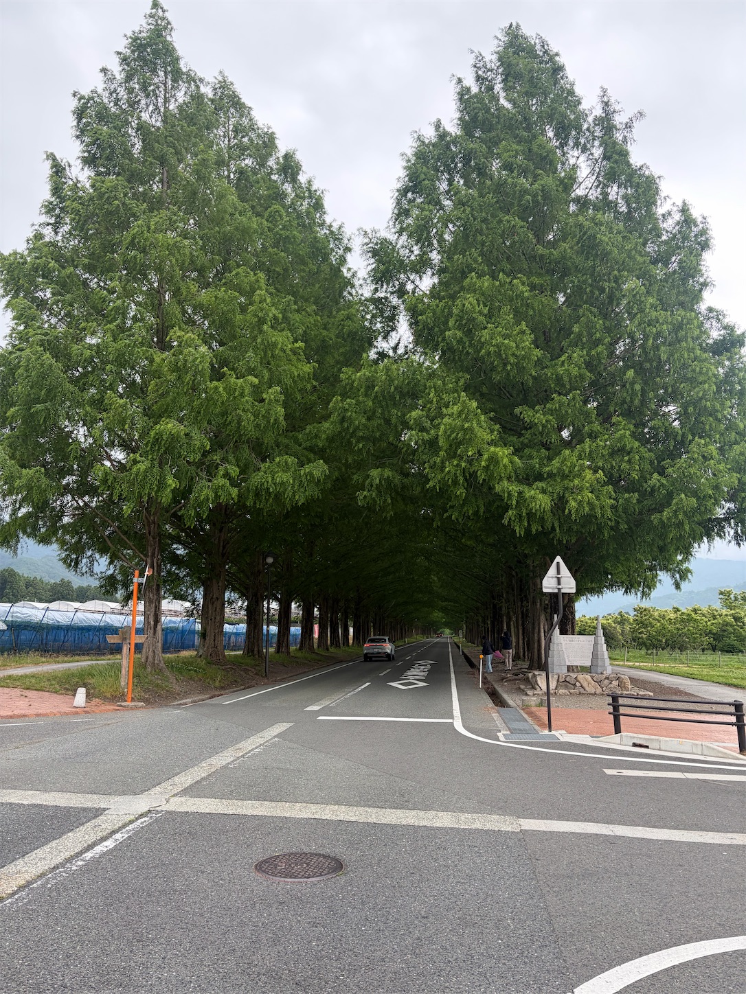 f:id:touchbike:20260711145950j:image