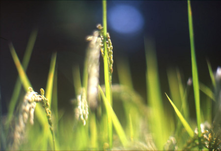 f:id:touchme:20100925235115j:image f:id:touchme:20100925235115j:image
