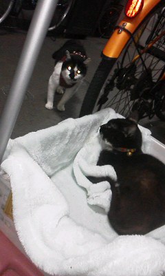f:id:touemon:20160629012941j:plain