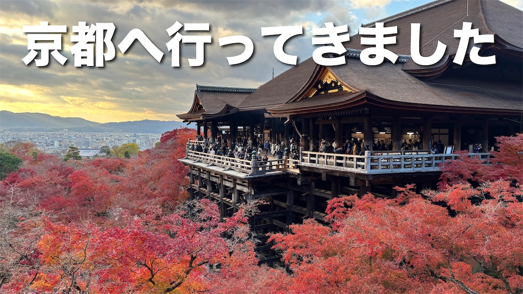 f:id:tougetuex:20241211103219j:image f:id:tougetuex:20241211103219j:image