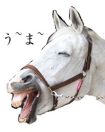イメージ 7