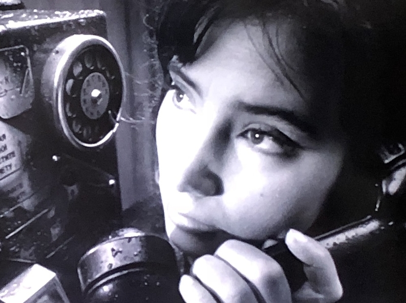 埋もれがちな傑作 鶴は翔んでゆく 戦争と貞操 たふえいんといなあふ 不思議な魔法の言葉