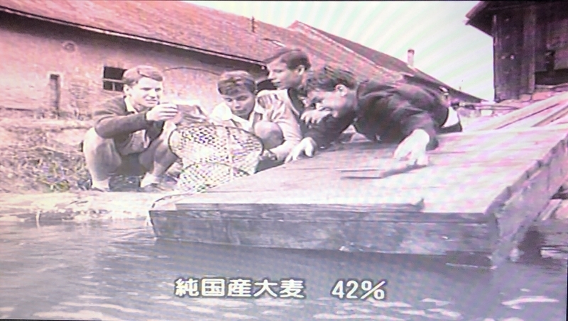 イメージ 2