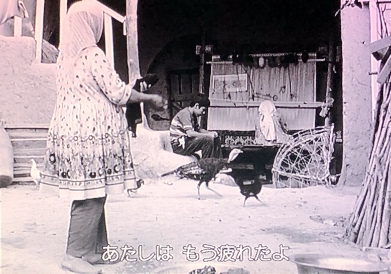 イメージ 7