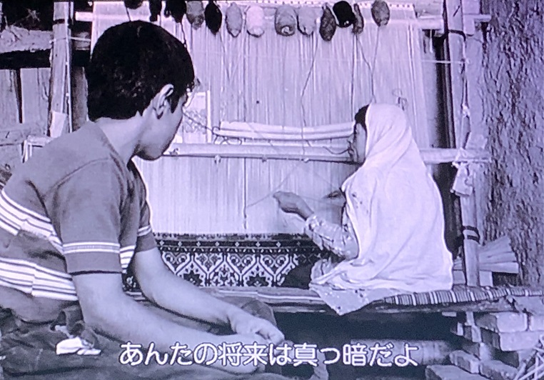 イメージ 8