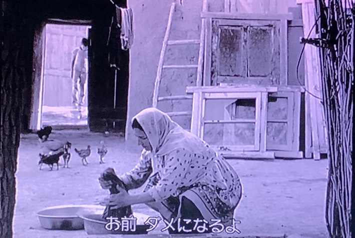 イメージ 9