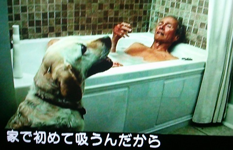 イメージ 2