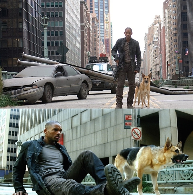 サム in アイアムレジェンド たふえいんといなあふ 不思議な魔法の言葉