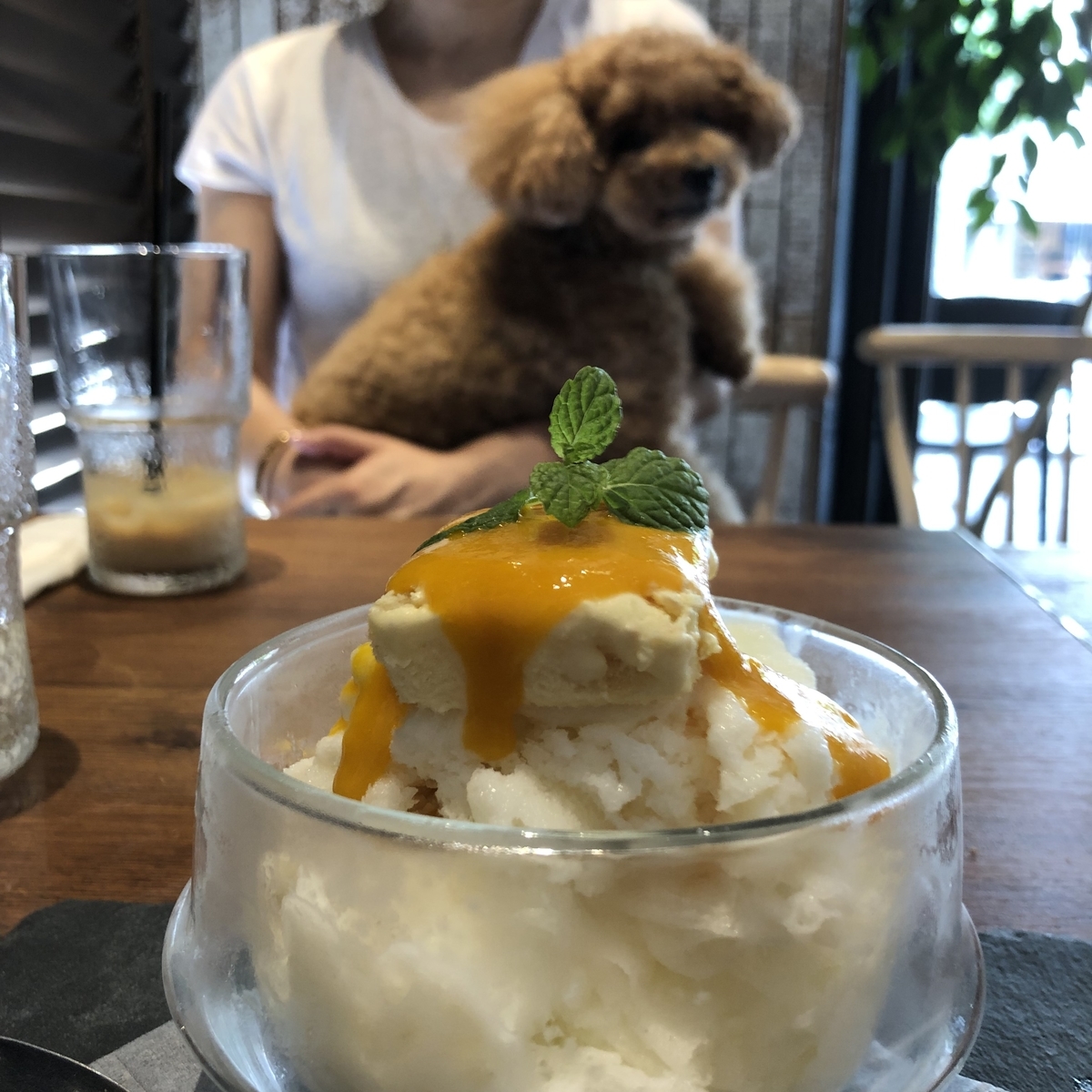 f:id:toughy:20190820090040j:plain f:id:toughy:20190820090040j:plain