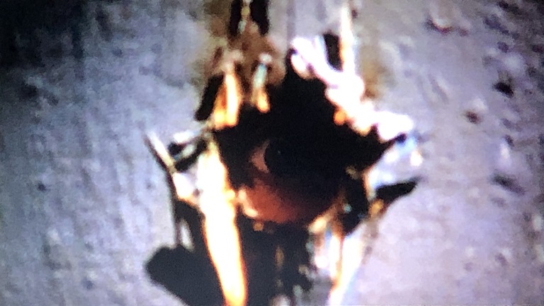 f:id:toughy:20191114112303j:plain f:id:toughy:20191114112303j:plain