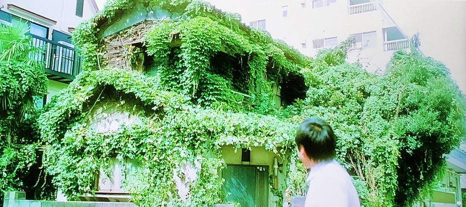 f:id:toughy:20200308104533j:plain f:id:toughy:20200308104533j:plain