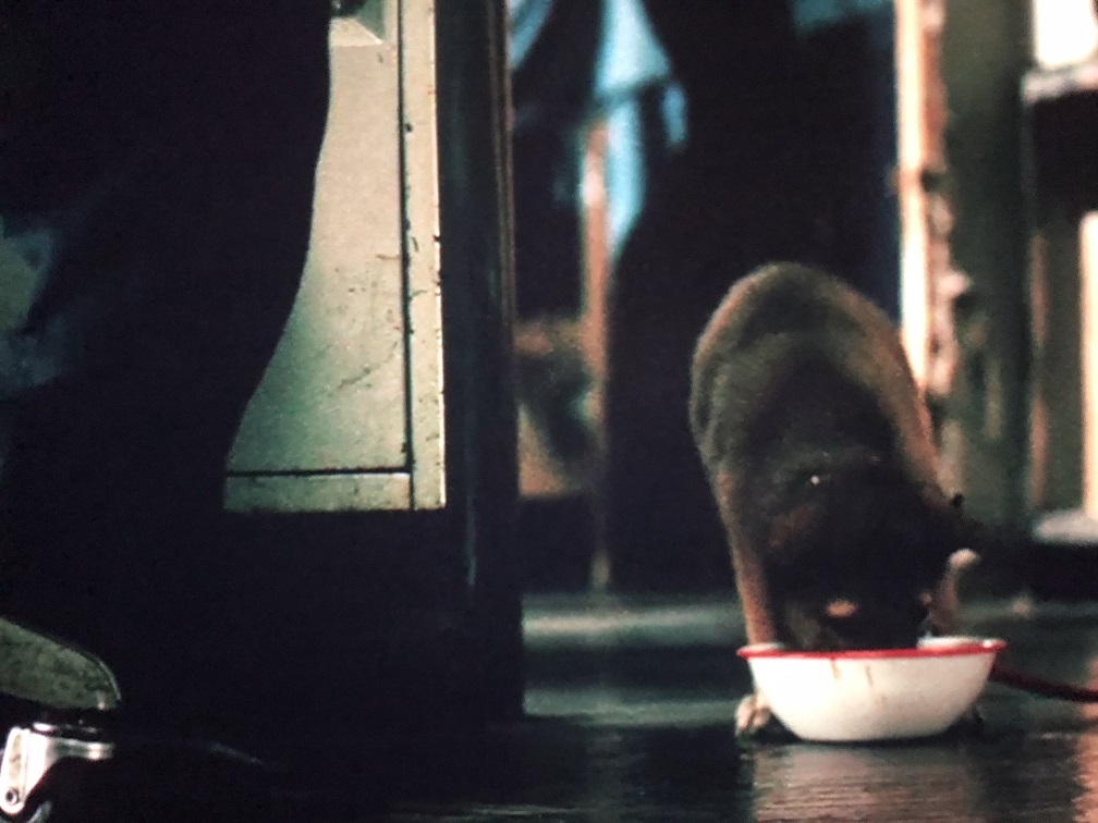 f:id:toughy:20201007172325j:plain