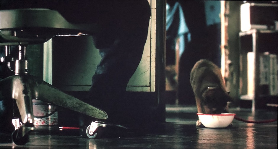 f:id:toughy:20201007172335j:plain