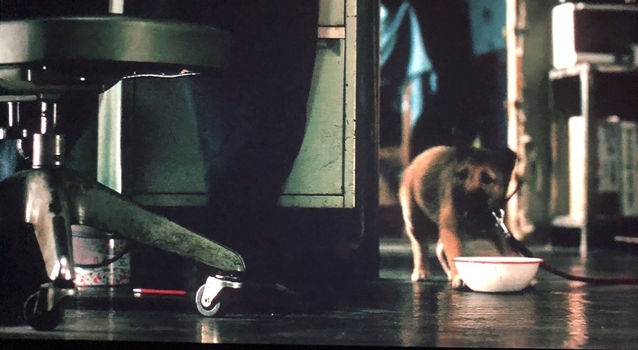 f:id:toughy:20201007172338j:plain