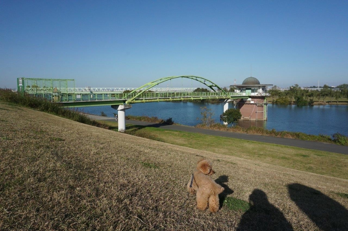 f:id:toughy:20201116095514j:plain f:id:toughy:20201116095514j:plain
