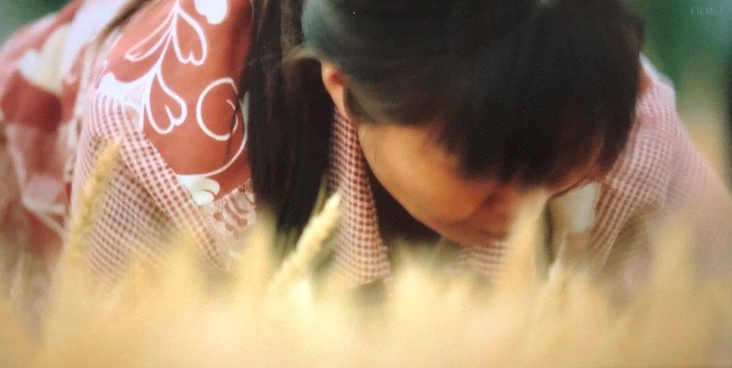 f:id:toughy:20201221110736j:plain