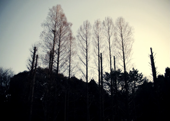 f:id:toughy:20220201162347p:plain