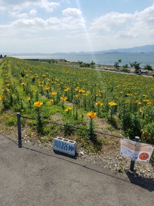 f:id:touguchi:20170625130215j:plain f:id:touguchi:20170625130215j:plain
